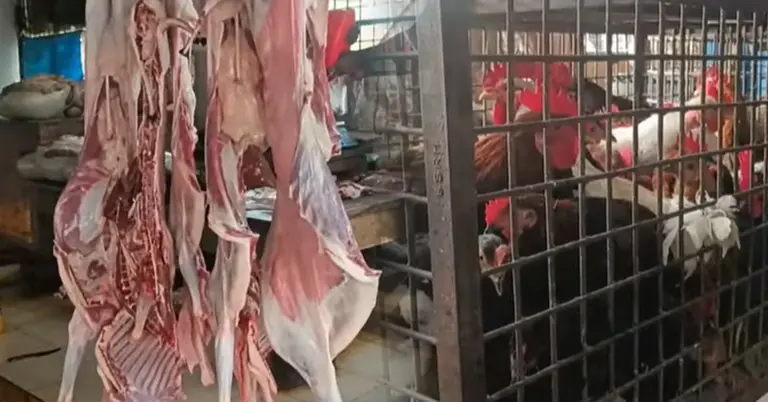 মাংসের বাজার